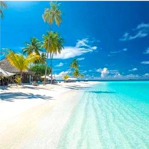 Meet your Posher, Betsy